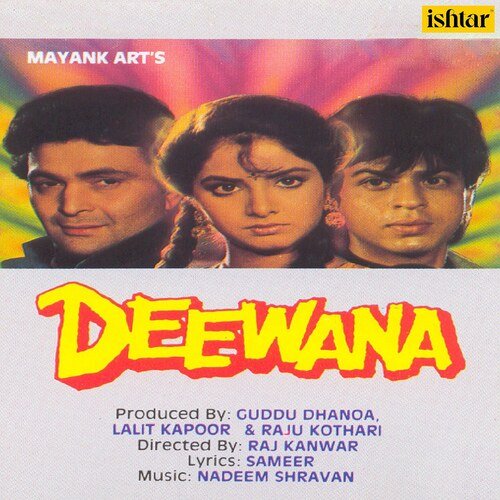 Deewana (1992) (Hindi)